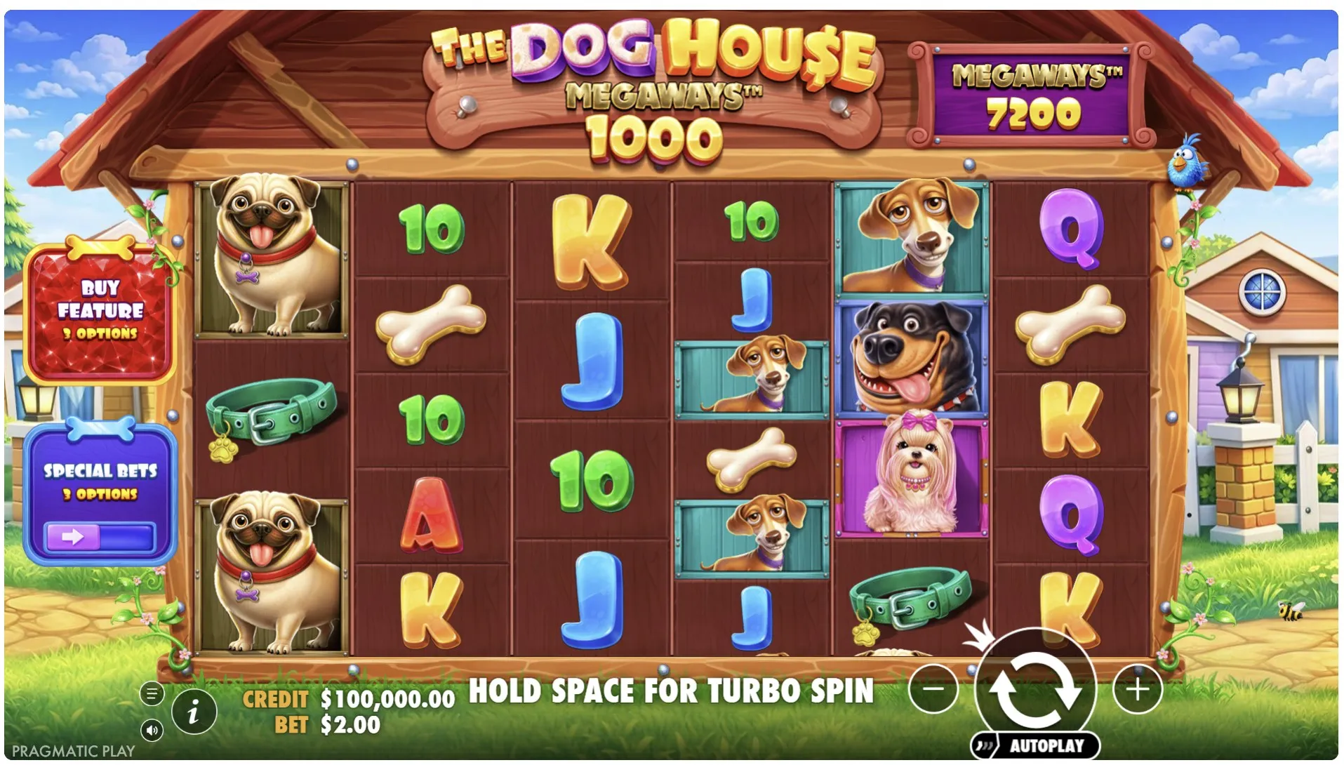 Social casino rules and feature language